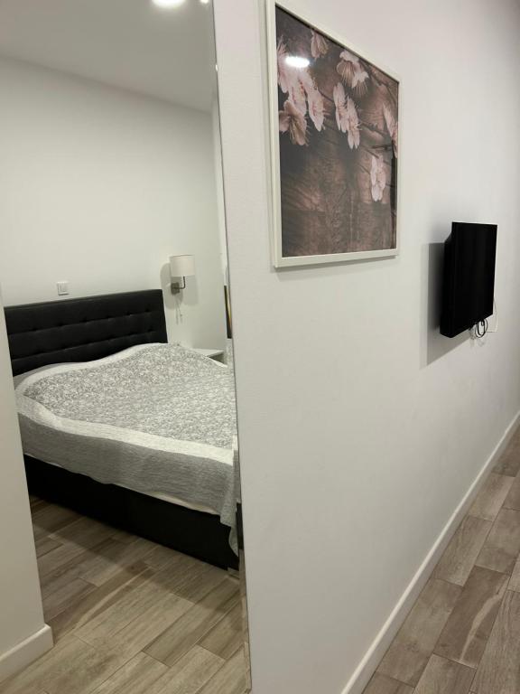 Rooms Bruno photo 2