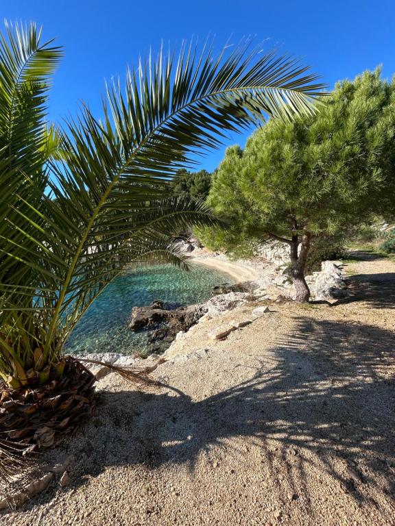 Trogir Čiovo nice studio apartment near the sea in Okrug — photo 1
