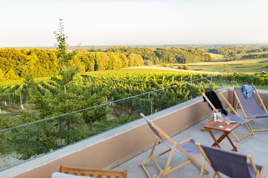 Boutique Wine and Wellness Retreat - Wine Residence Kerman — photo 1