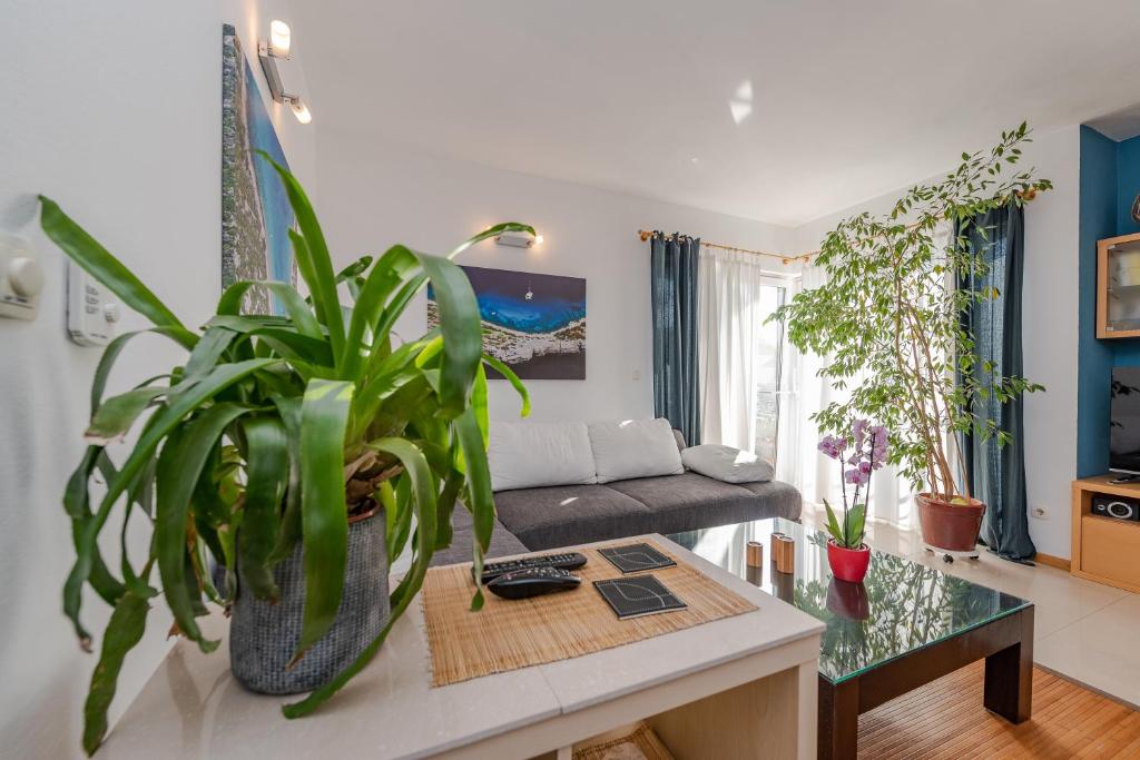 Romantic Oasis Apartments photo 3