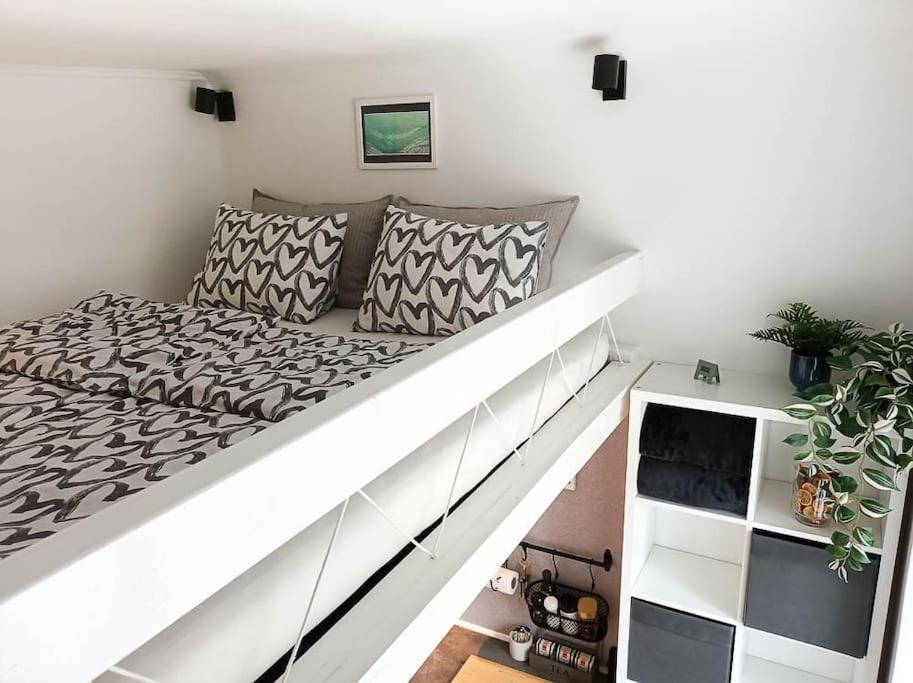 Loft Bed Studio with FREE Parking — photo 1