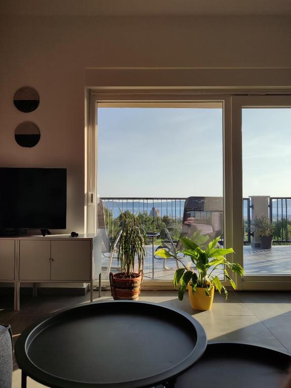 Serendipity Apartment photo 3