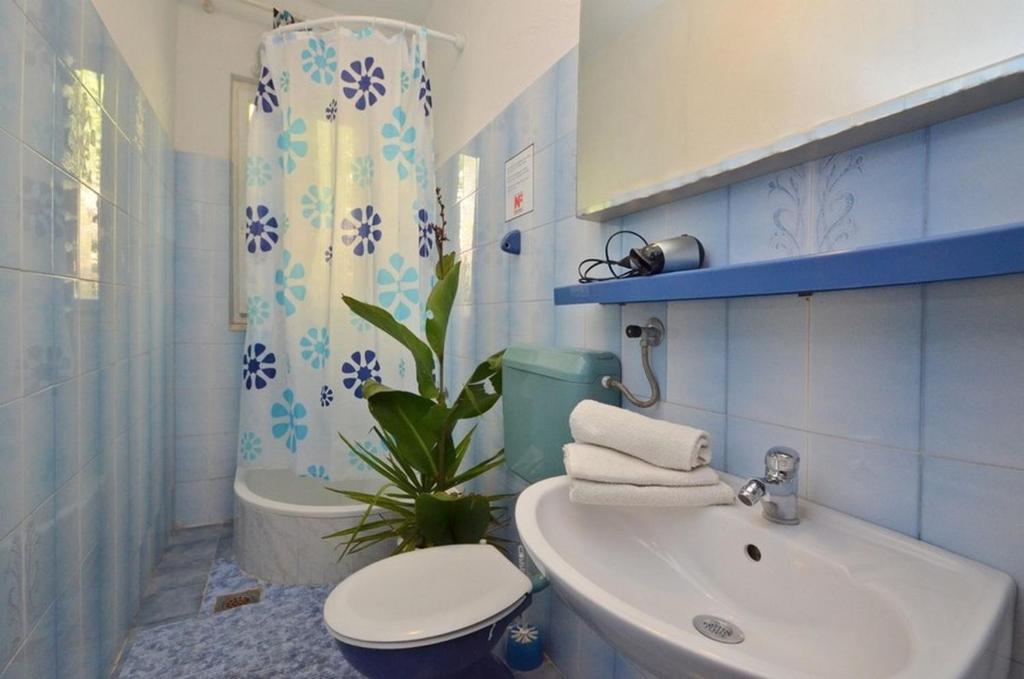 Seaside family friendly house with a swimming pool Cove Mikulina Luka photo 3