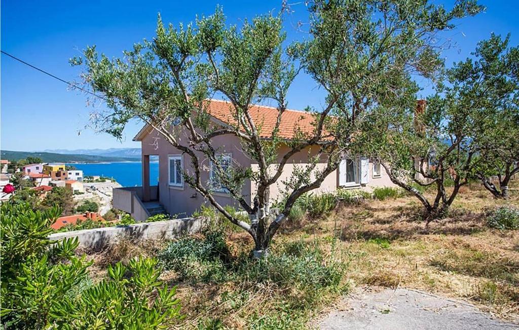 Cozy Apartment In Vrbnik photo 2