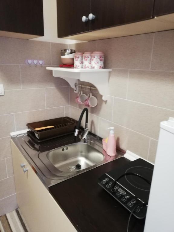 Studio apartman Small Lili photo 3