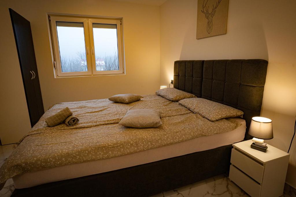 Soriso Gorici photo 2