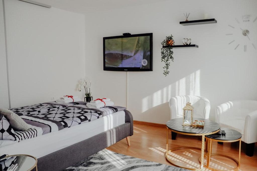 Studio apartman Story photo 2