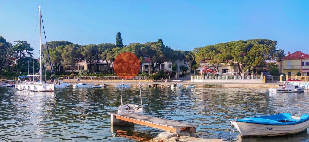 Royal Apartments Zadar — photo 1