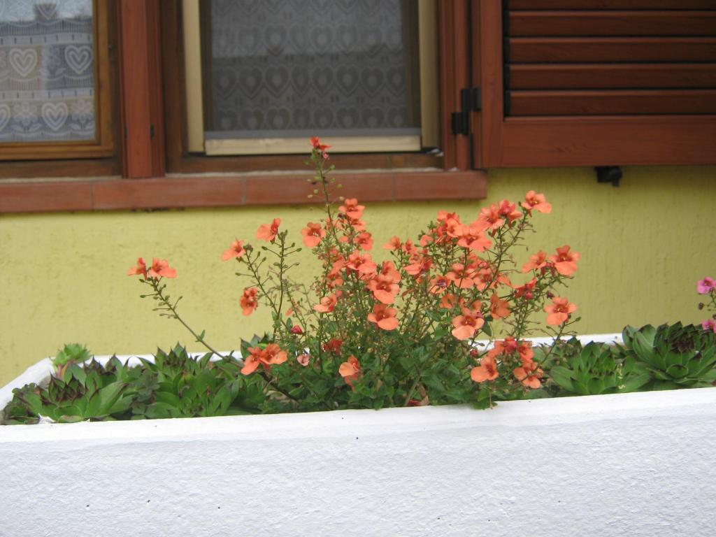 Apartment Meridiana — photo 1