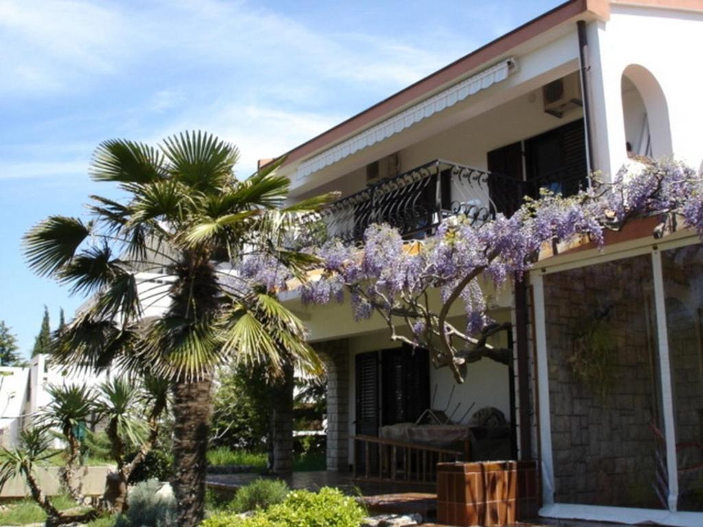 Apartments by the sea Punat — photo 1