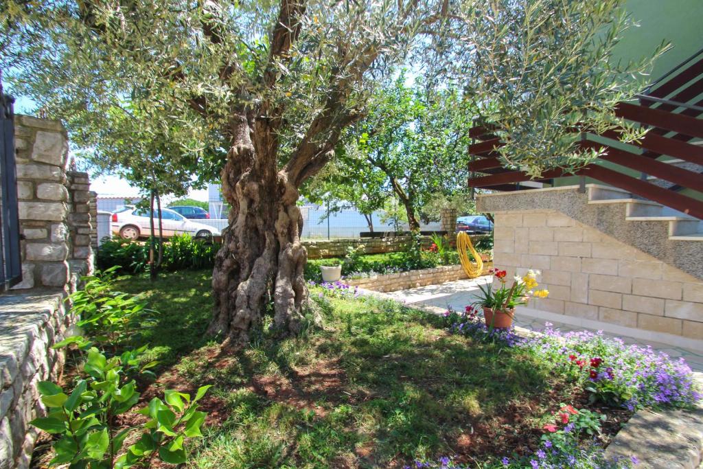 Zelena oaza Apartment — photo 1