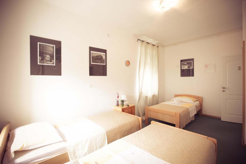 Rooms Medved photo 2