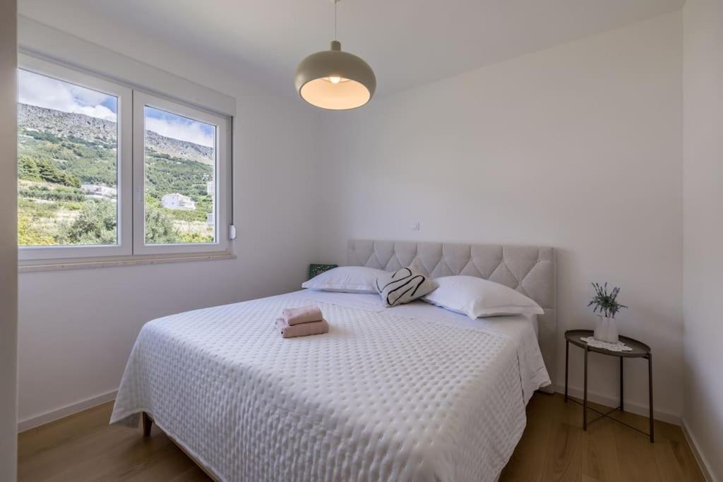 Sal Mare - luxury and elegant family apartment photo 2