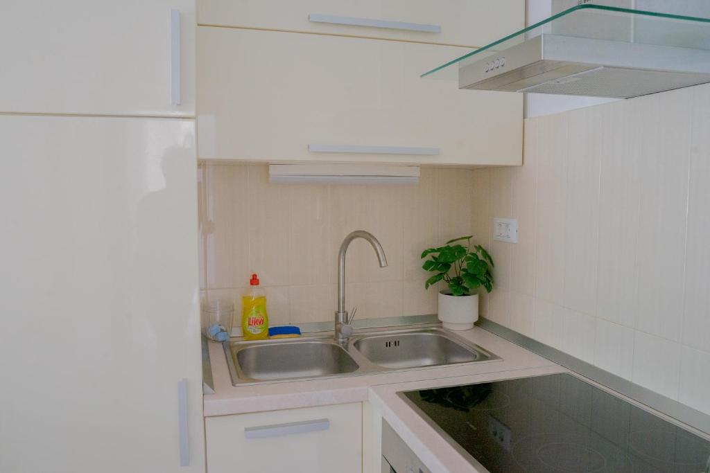 Apartment Zenta with free private parking photo 3