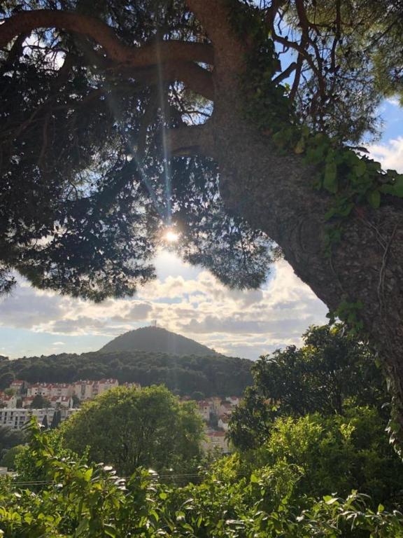 SunOne Dubrovnik photo 2