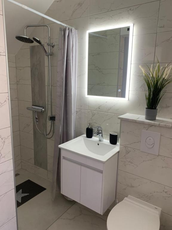Studio Apartment Mirela photo 3
