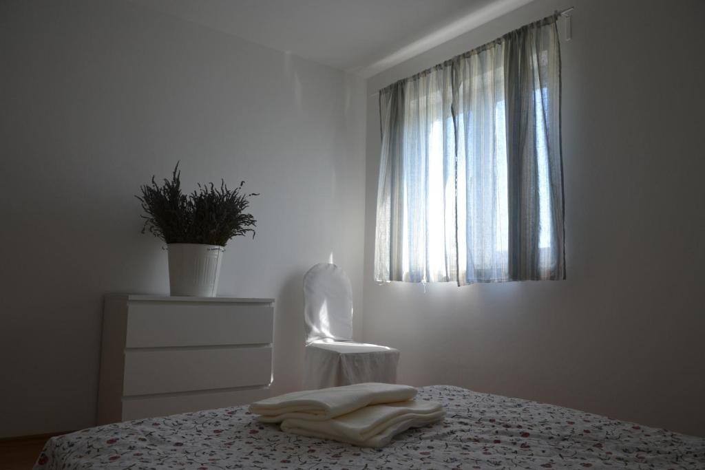 Apartments Roža photo 2