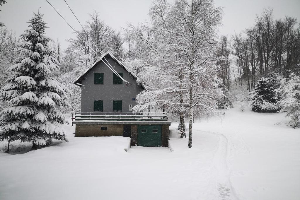 Holiday house with a parking space Fuzine, Gorski kotar - 20518 — photo 1
