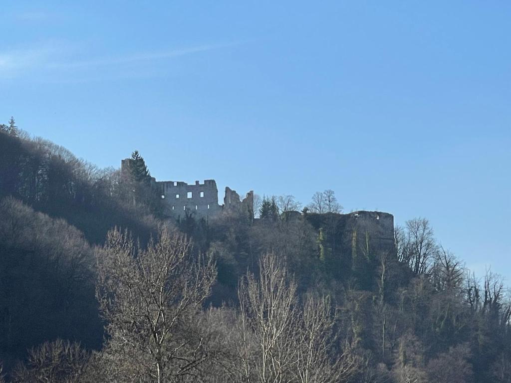 Apartmani "Stari Grad - Samobor" photo 3