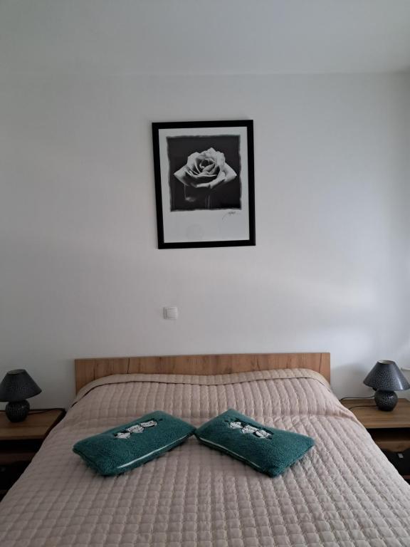 Studio apartman Rose photo 2