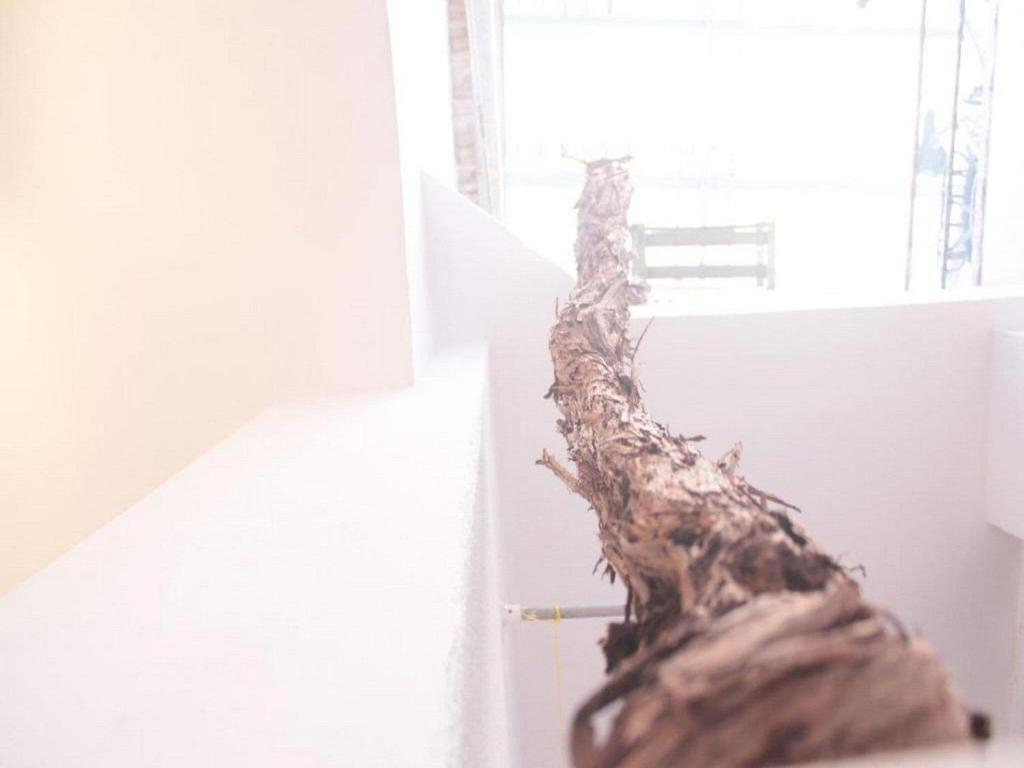 Studio Toniko with Terrace photo 2