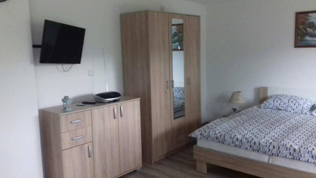 Studio apartman Trdina photo 2