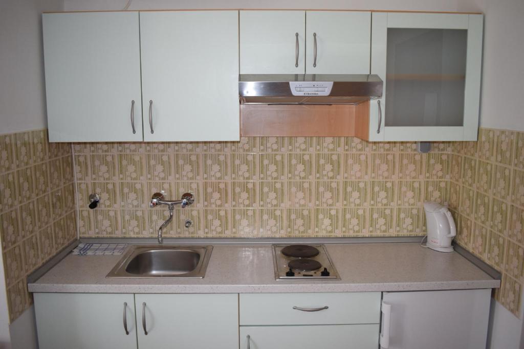 Apartments with WiFi Sveti Filip i Jakov photo 3