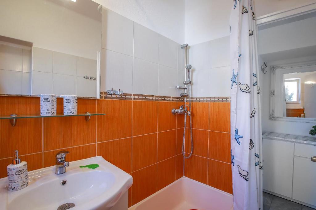 Sunshower apartment and studio photo 3