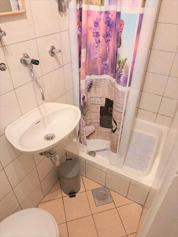 Studio apartment ADRIARI WITH LARGE TERRACE photo 3