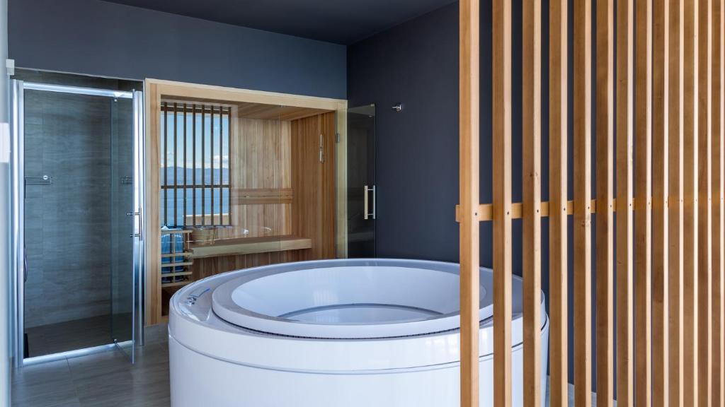 Sky Pool VILLA MEDVEJA photo 3