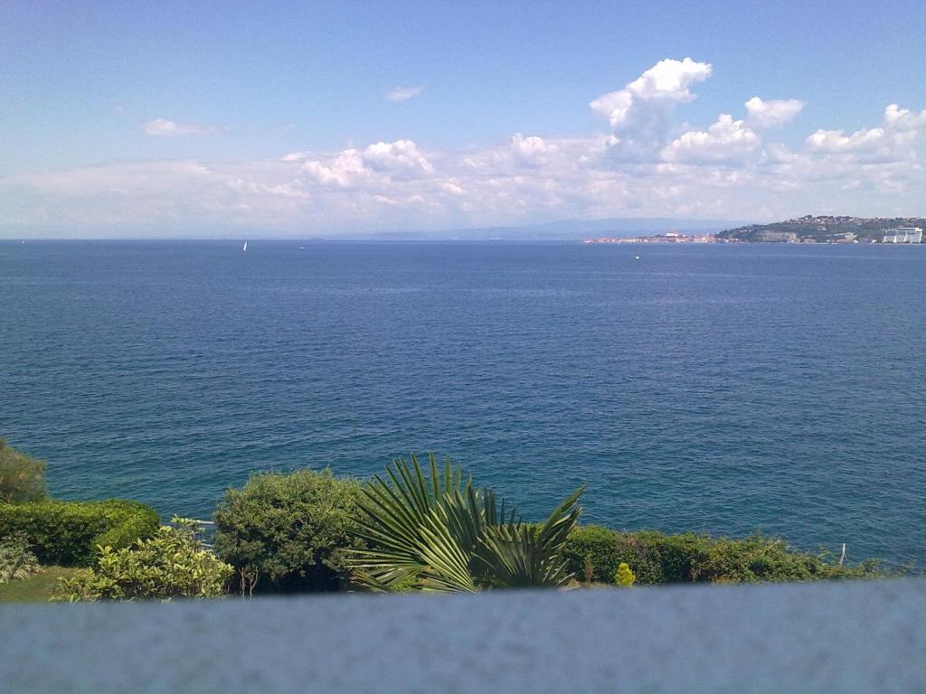 Guest House Laura — photo 1