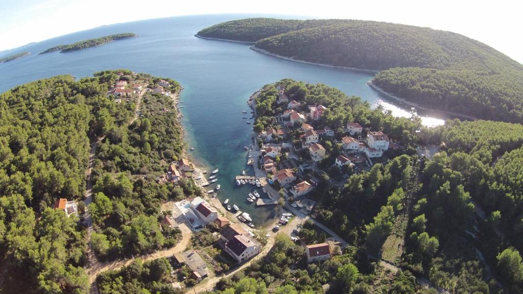 Stone House Villa Darinka — photo 1