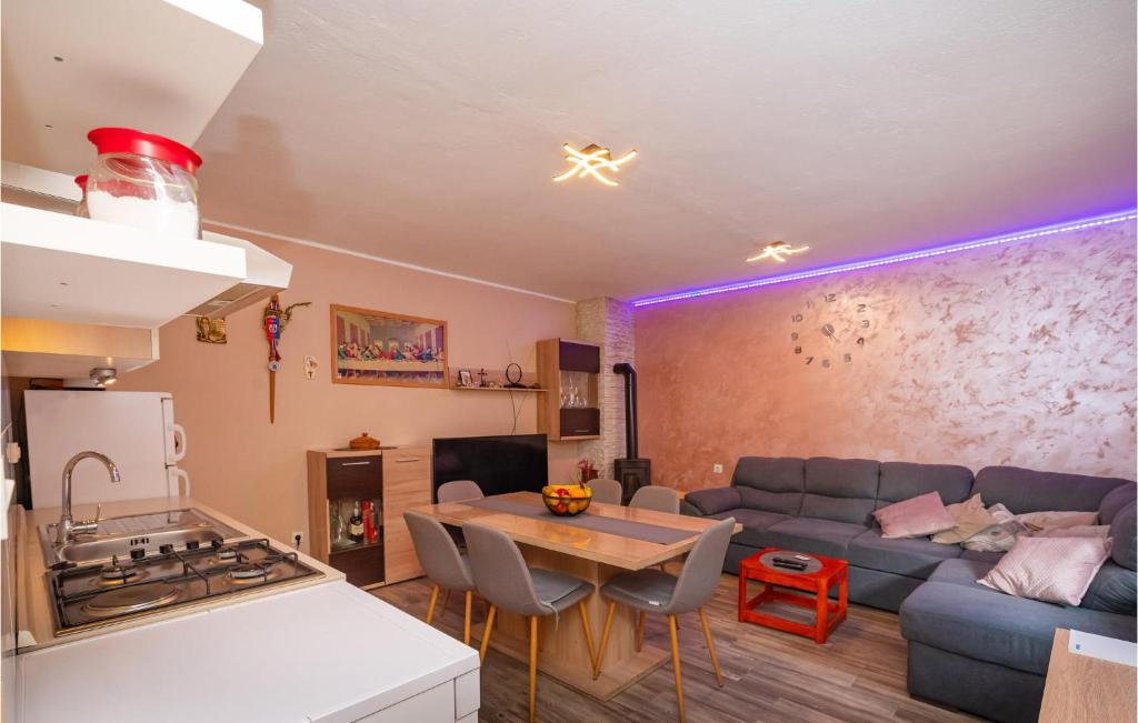 Nice Home In Pridraga With Wifi photo 3
