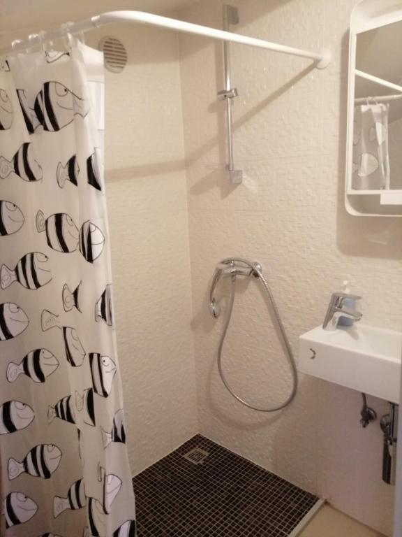 Studio apartment in Funtana with balcony photo 3