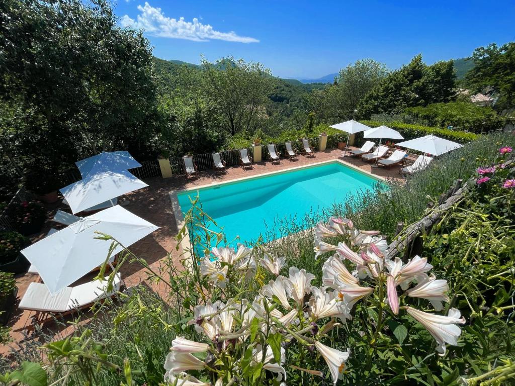 Luxurious Umbrian Retreat for 10 with Private Terrace and Pool — photo 1