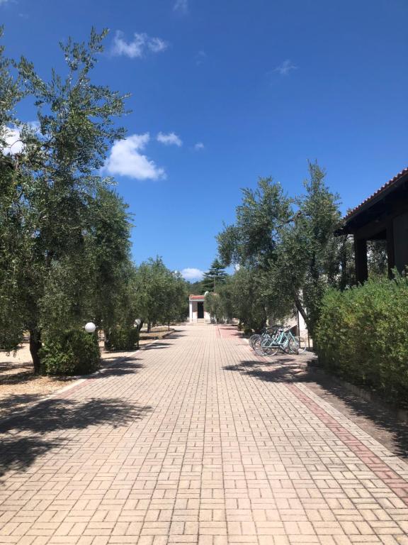 Tenuta Montincello — photo 1