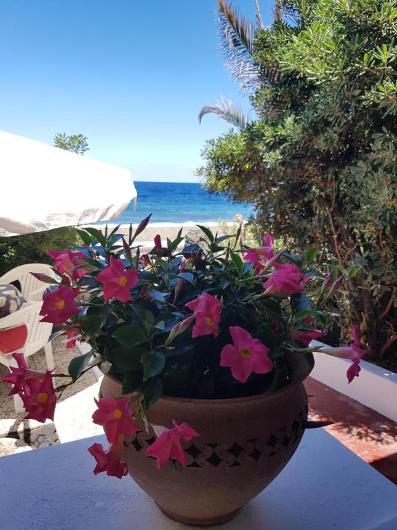 Stromboli Vacanze photo 3