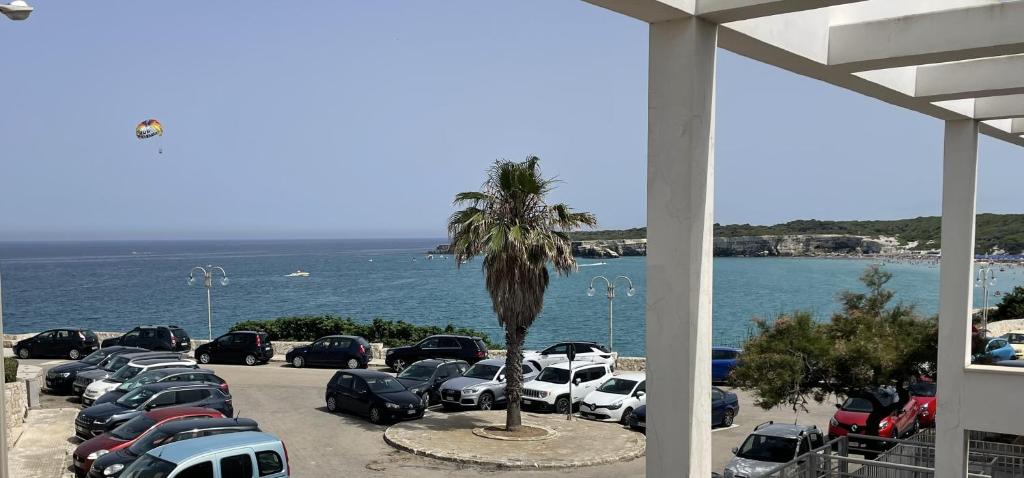 Terrazza sul mare photo 2