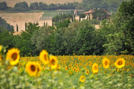 Agriturismo Val di Sterza — photo 1