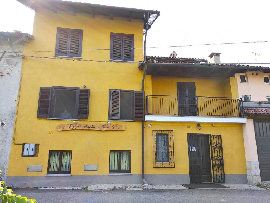 Spighe Paglia e Girasole — photo 1