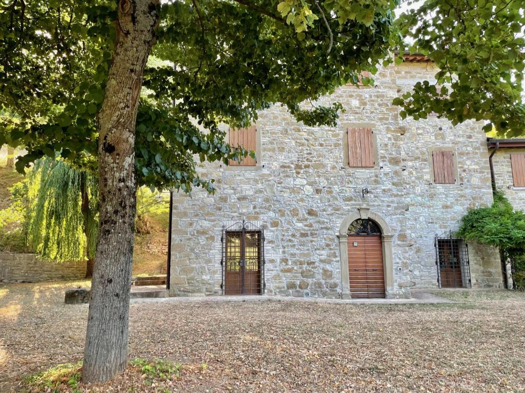 Sambuco di Sopra photo 2