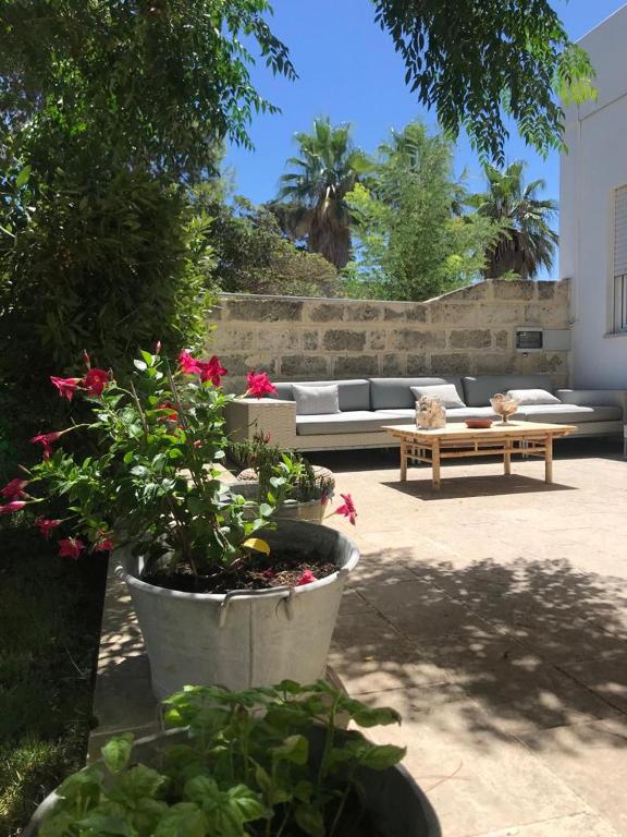 Villa La Torre — photo 1