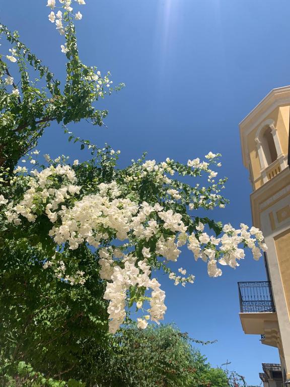 Villa Giada photo 2