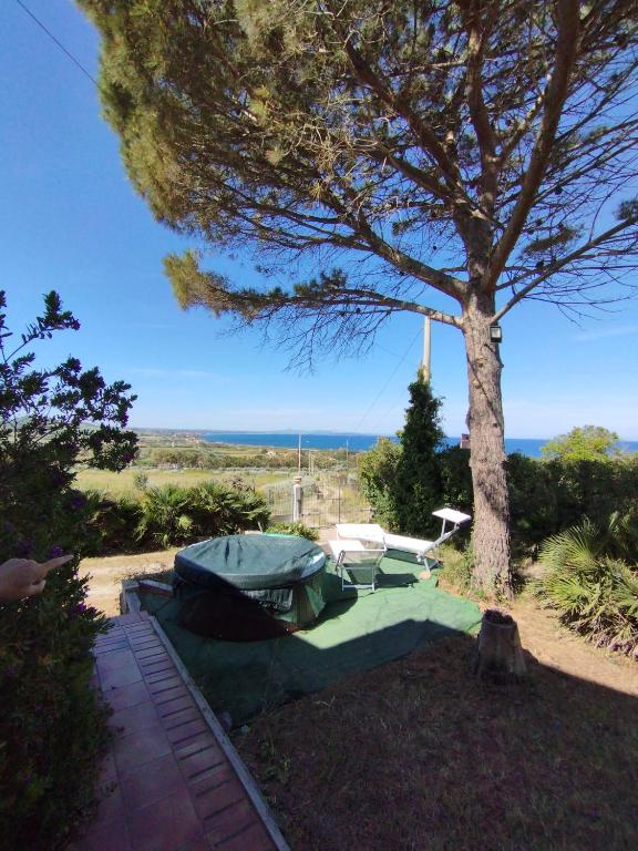 Surf and Fun Asinara — photo 1