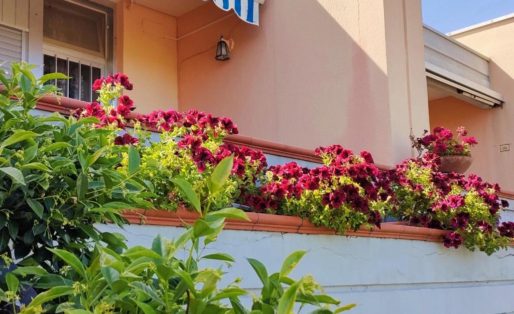 Sea View Apartment Villarosa — photo 1