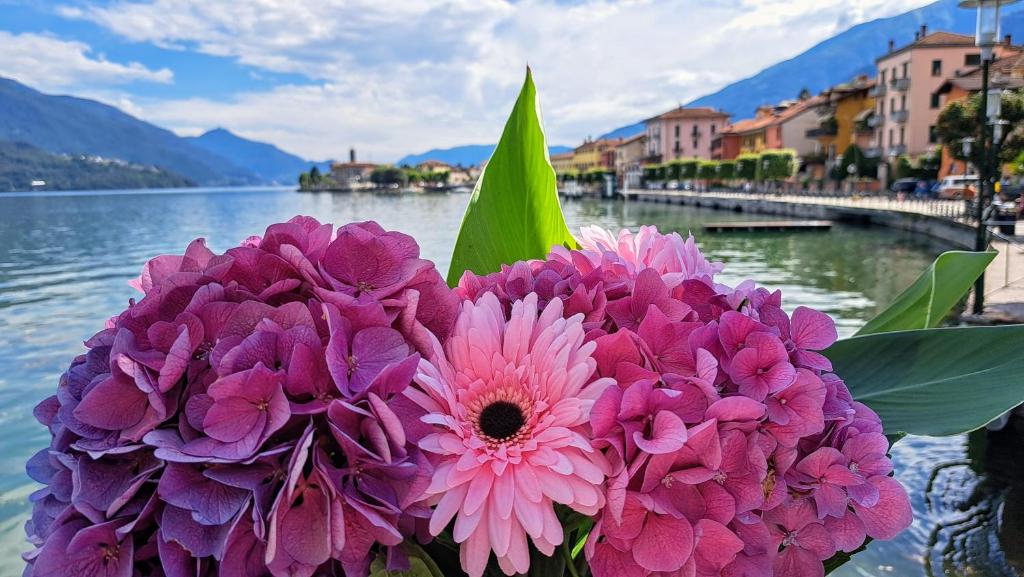 Oikos Dafne — photo 1