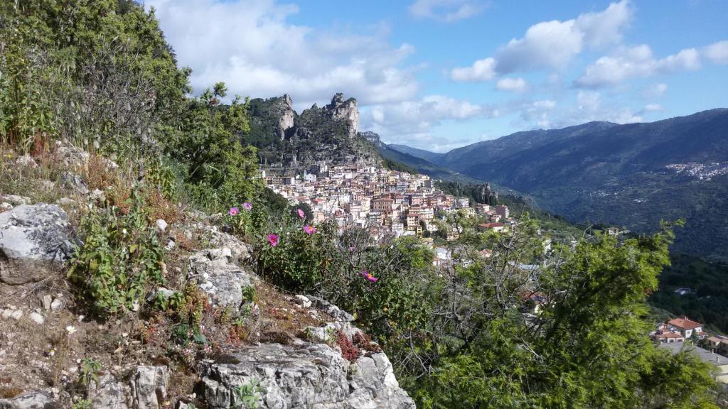 Su Marmuri photo 3