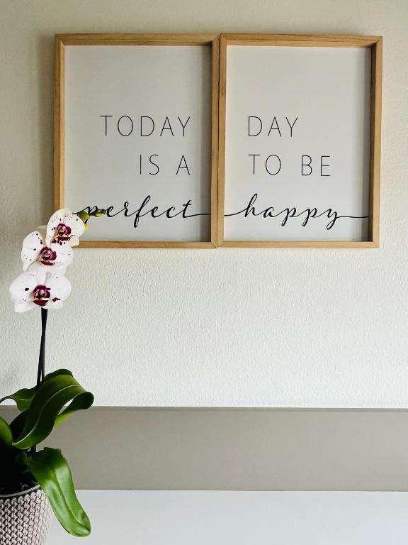 Panda Certosa Apartment — photo 1