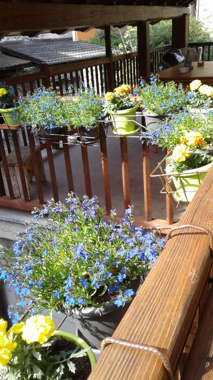 Martorey CIR 10 — photo 1