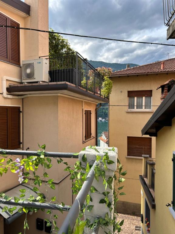 Timco apartment with big terrace photo 3